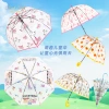 RST028A Cartoon Unicorn children's Umbrella, plastic transparent umbrella, Baby umbrella, Children's long umbrella, Small umbrella wholesale details Picture